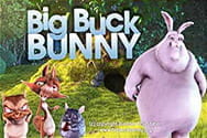 Big Buck Bunny