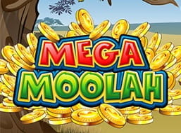 The Mega Moolah slot from Microgaming