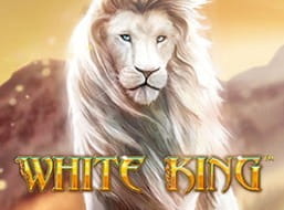 White King