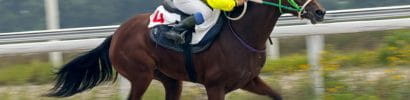 Man Squatting on a Horse in a Race