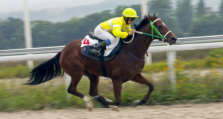 Man Squatting on a Horse in a Race