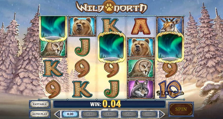 Snow Slots Wild North