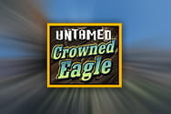 Untamed Crowned Eagle